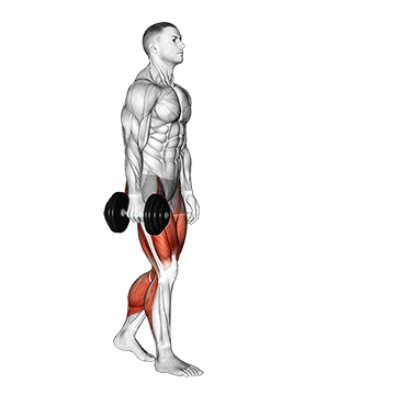 Dumbbell Suitcase Carry - Exclusive get you ultimate Strength for Obliques from X health blend   Animated Exercise  Library