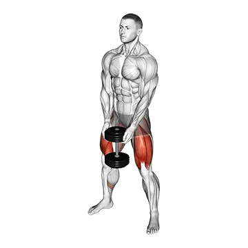 Dumbbell Sumo Squat