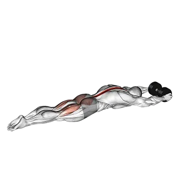 Dumbbell Superman
