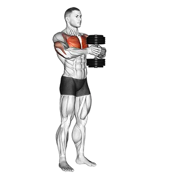 Dumbbell Svend Press