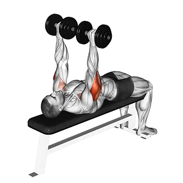 Dumbbell Tate Press