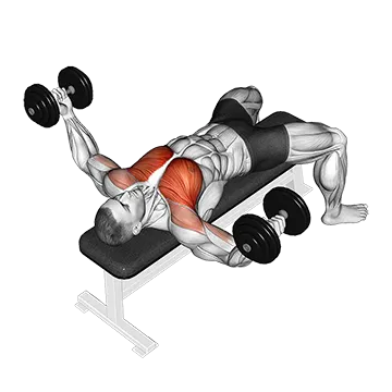 Dumbbell Twisted Fly