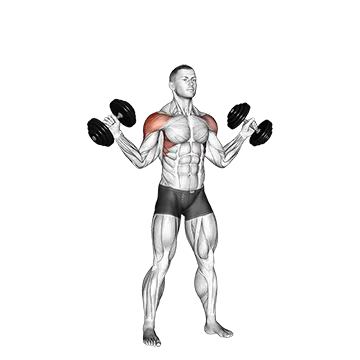 Dumbbell W Press