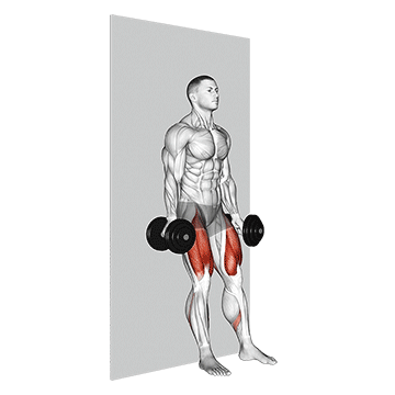 Dumbbell Wall Squat