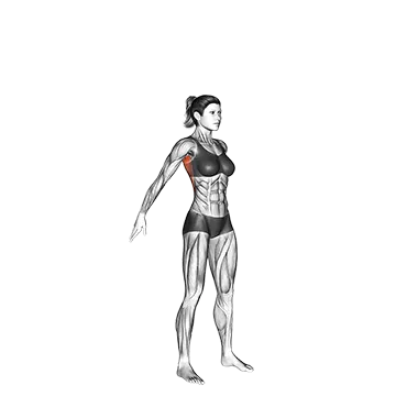 Dynamic Back Stretch