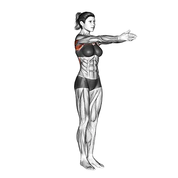 Dynamic Chest Stretch