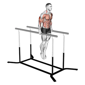 Elbow Dips
