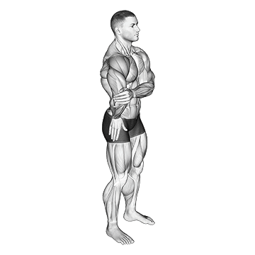 Elbow Out Rotator Stretch - Exclusive get you ultimate Stretching for Rotator Cuff from X health blend   Animated Exercise  Library