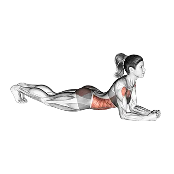 Elbow Push Up