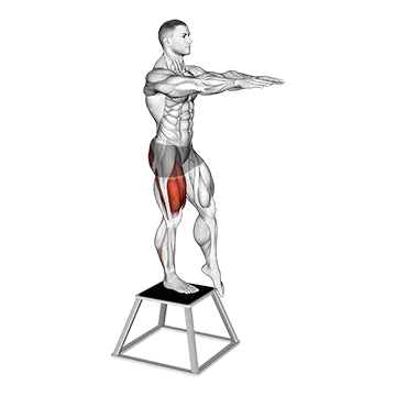 Elevated Single Leg Squat - Exclusive get you ultimate Strength for Quadriceps from X health blend   Animated Exercise  Library