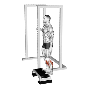 Elevated Standing Calf Raise - Exclusive get you ultimate Strength for Gastrocnemius from X health blend   Animated Exercise  Library