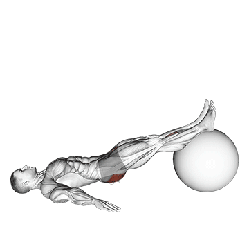 Exercise Ball One-Legged Diagonal Kick Hamstring Curl - Exclusive get you ultimate Strength for Hamstrings from X health blend   Animated Exercise  Library