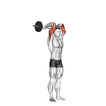 EZ Bar Standing French Press - Exclusive get you ultimate Strength for Deltoids from X health blend   Animated Exercise  Library