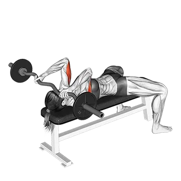 EZ Barbell Lying Triceps Extension - Exclusive get you ultimate Strength for Triceps from X health blend   Animated Exercise  Library