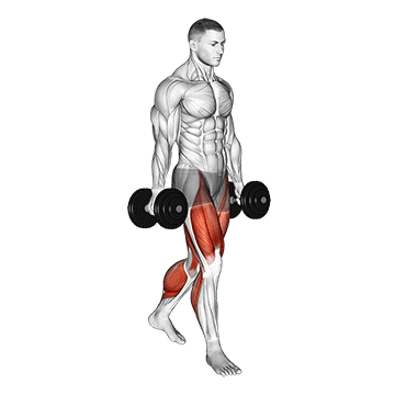 Farmers Walk - Exclusive get you ultimate Strength for Forearms from X health blend   Animated Exercise  Library