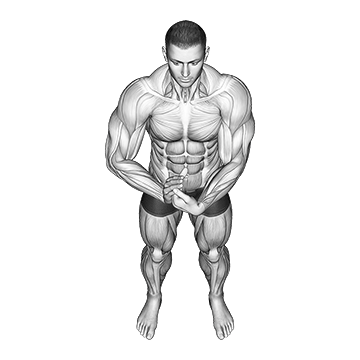 Finger Extensor Stretch - Exclusive get you ultimate Stretching for Finger Extensors from X health blend   Animated Exercise  Library