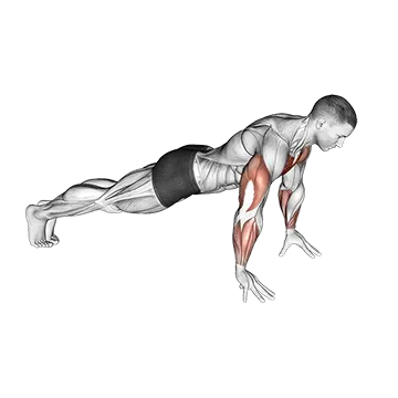 Finger Push Up