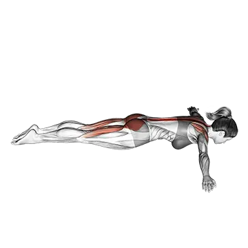 Floor T Raise - Exclusive get you ultimate Strength for Rear Deltoids from X health blend   Animated Exercise  Library
