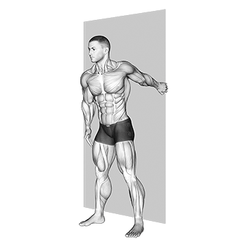 Forearm Pronator Stretch - Exclusive get you ultimate Stretching for Pronator Teres from X health blend   Animated Exercise  Library