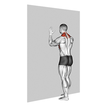 Forearm Wall Slide - Exclusive get you ultimate Strength for Deltoids from X health blend   Animated Exercise  Library