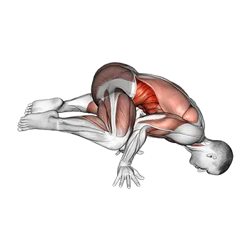 Frog Planche - Exclusive get you ultimate Strength