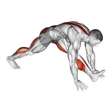 Front Hamstring Stretch