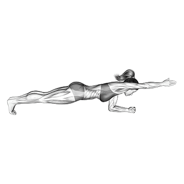Front Plank with Arm Lift