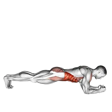 Front Plank with Twist - Exclusive get you ultimate Strength for Transverse Abdominis