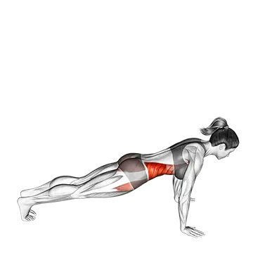 Front to Side Plank - Exclusive get you ultimate Strength for Transverse Abdominis