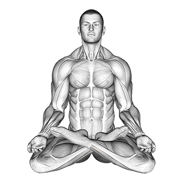 Full Lotus Yoga Pose - Exclusive get you ultimate Stretching for Hips