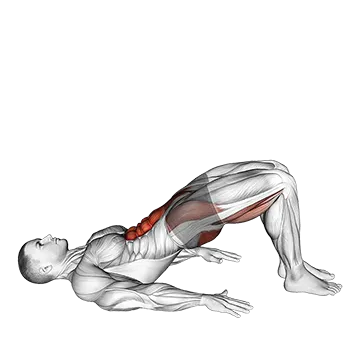 Glute March