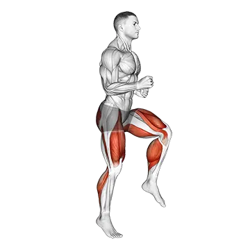 Half Knee Bends