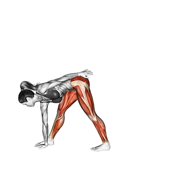 Half Moon Pose Ardha Chandrasana - Exclusive get you ultimate Stretching