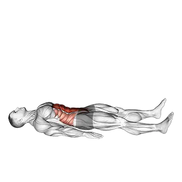 Half Sit Up