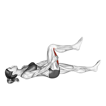 Hamstring Stretch