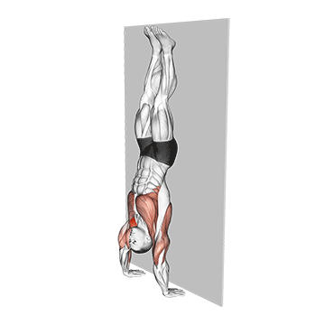 Handstand Hold on Wall - Exclusive get you ultimate Strength for Shoulders