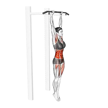 Hanging Hollow Hold - Exclusive get you ultimate Strength for Rectus Abdominis