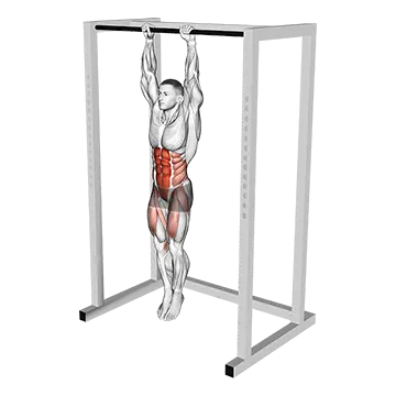 Hanging Knees to Elbows - Exclusive get you ultimate Strength for Rectus Abdominis