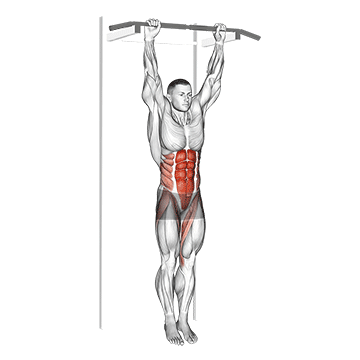 Hanging Leg Hip Raise - Exclusive get you ultimate Strength for Lower Abdominals