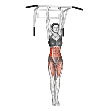 Hanging Oblique Knee Raise - Exclusive get you ultimate Strength for Obliques from X health blend   Animated Exercise  Library