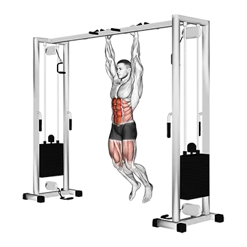 Hanging Straight Leg Hip Raise - Exclusive get you ultimate Strength for Lower Abdominals