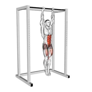Hanging Straight Leg Raise - Exclusive get you ultimate Strength for Lower Abdominals from X health blend   Animated Exercise  Library