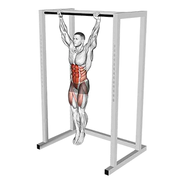 Hanging Toes to Bar - Exclusive get you ultimate Strength for Rectus Abdominis from X health blend   Animated Exercise  Library