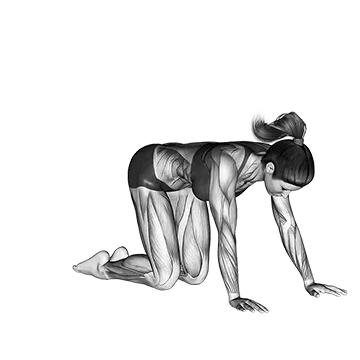 Hero Pose Virasana - Exclusive get you ultimate Stretching for Quadriceps