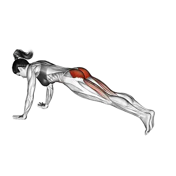 Hip Extension Stretch - Exclusive get you ultimate Stretching