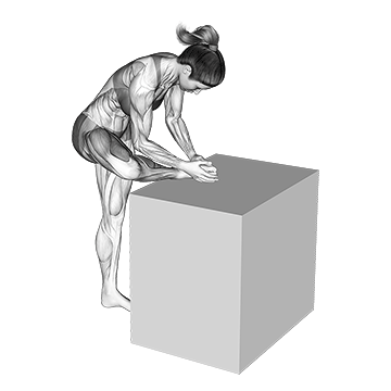 Hip External Rotator Stretch