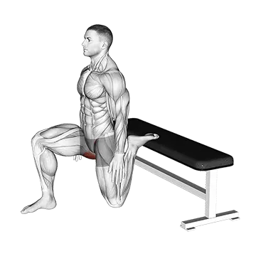 Hip Flexor Stretch Rear Foot Elevated - Exclusive get you ultimate Stretching
