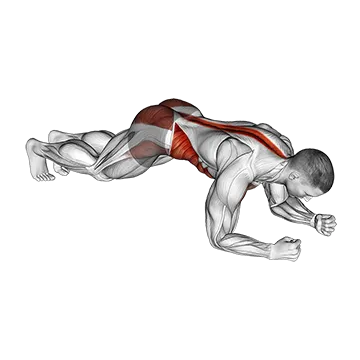 Hip Roll Plank