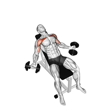 Hyght Dumbbell Fly