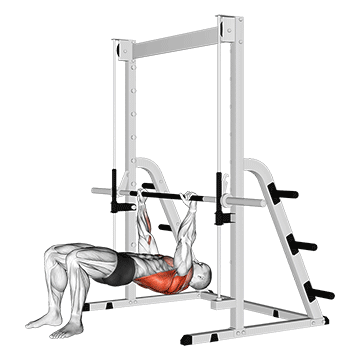 Inverted Row Bent Knees - Exclusive get you ultimate Strength for Latissimus Dorsi from X health blend   Animated Exercise  Library